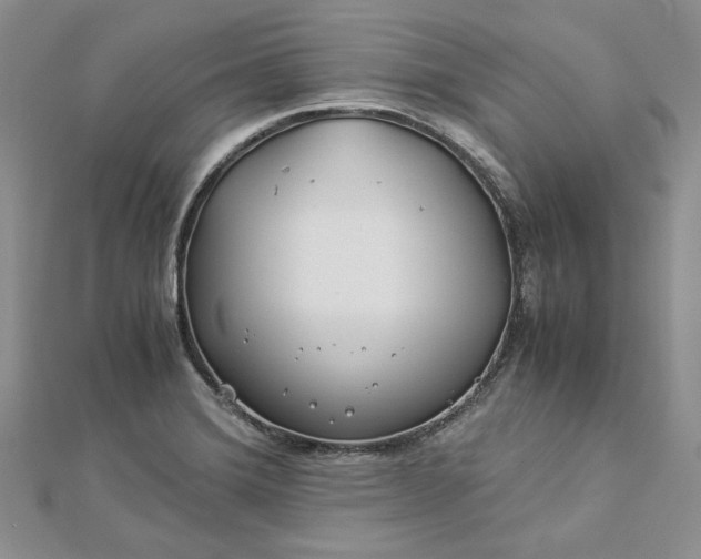 X0000112881372200909041633