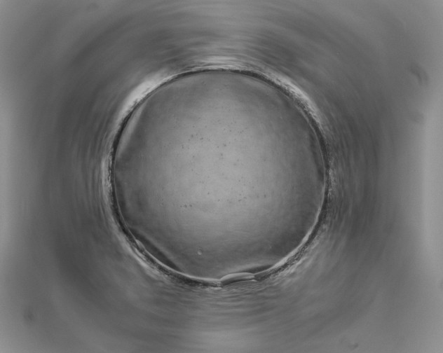 X0000112881373200909041633