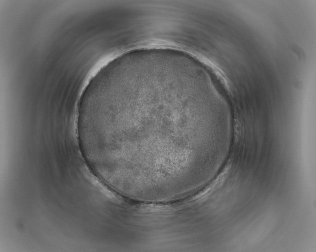 X0000112881374200909041633