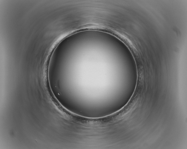 X0000112881375200909041633