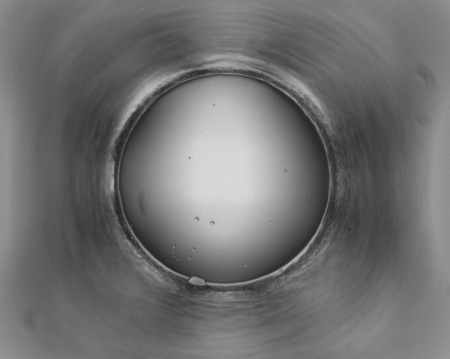 X0000112881376200909041633