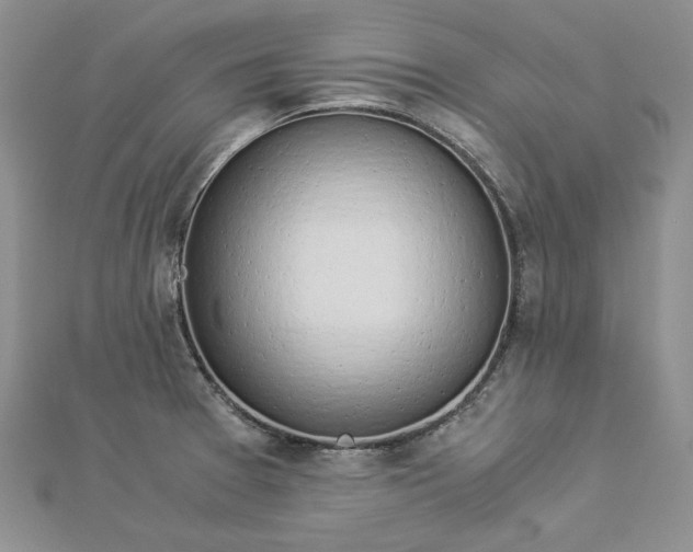 X0000112881377200909041633