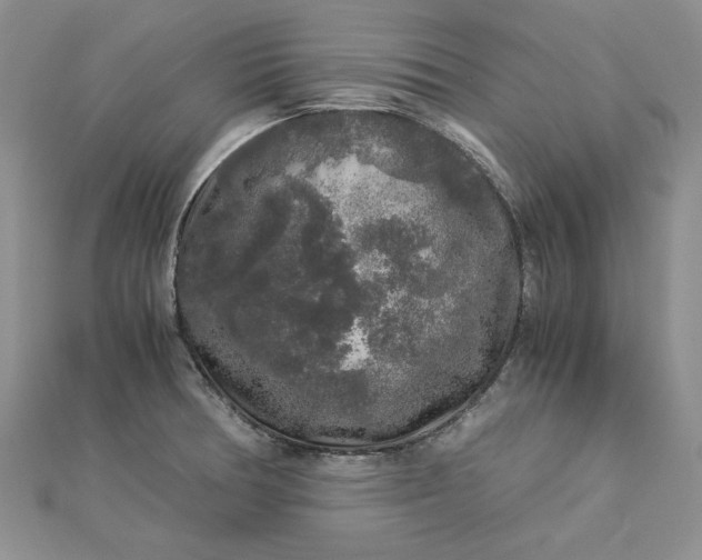 X0000112881378200909041633