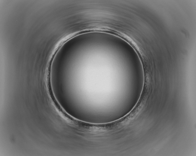 X0000112881379200909041633