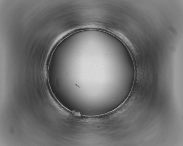 X0000112881380200909041632