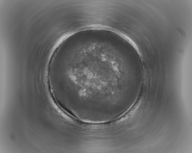 X0000112881381200909041632