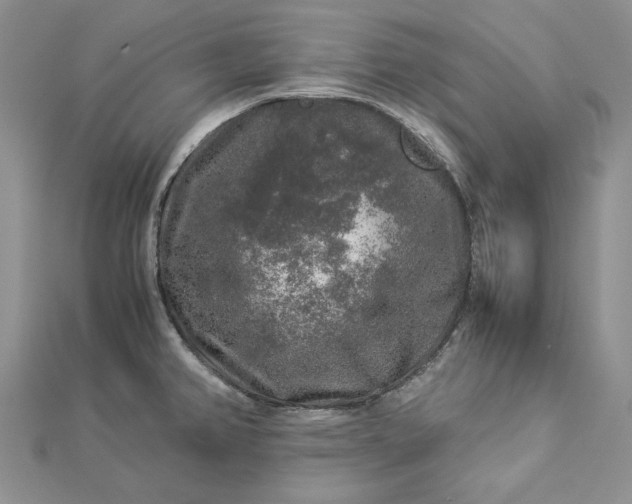 X0000112881382200909041632