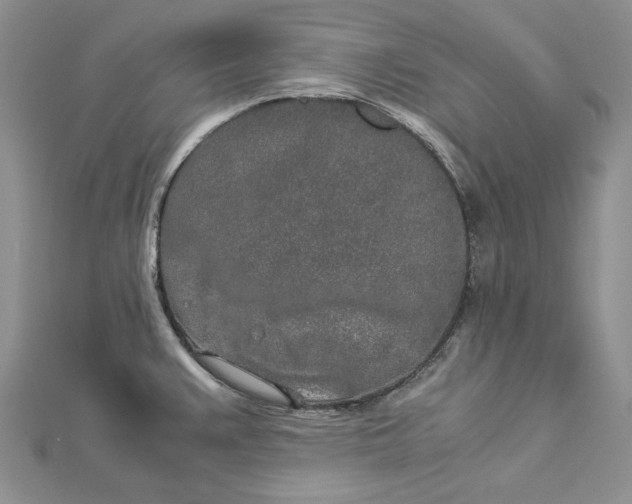 X0000112881383200909041632