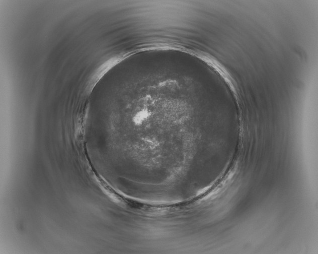 X0000112881385200909041632