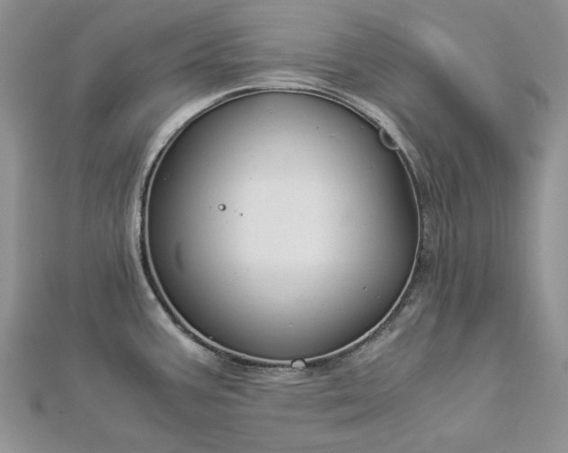 X0000112881387200909041632