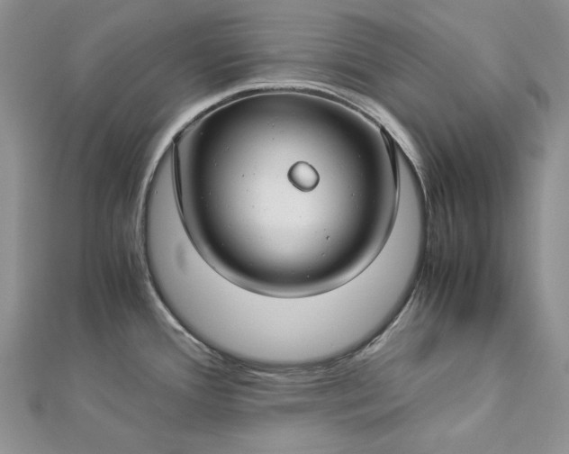 X0000112881388200909041632