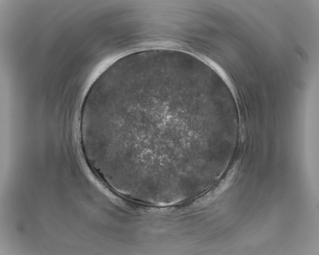 X0000112881389200909041632