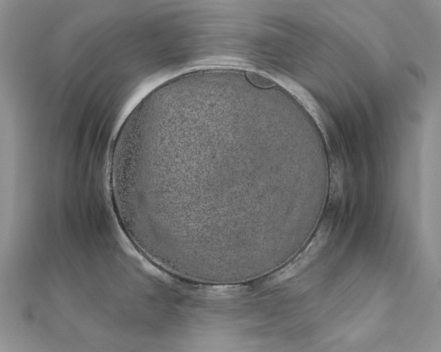 X0000112881390200909041632