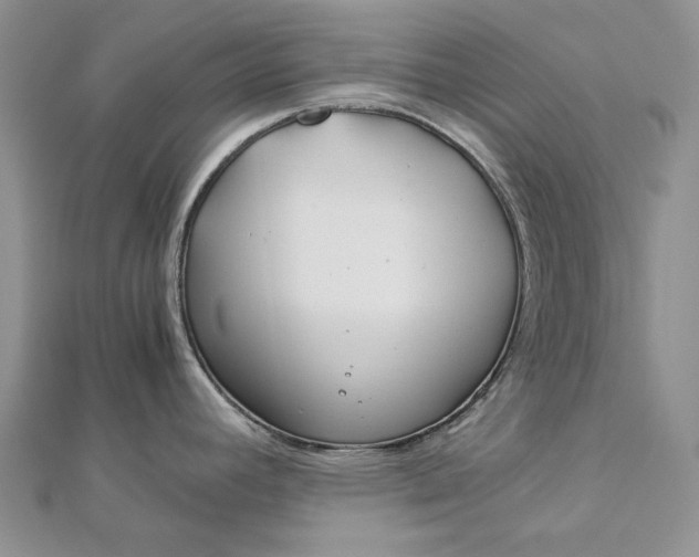 X0000112881392200909041632