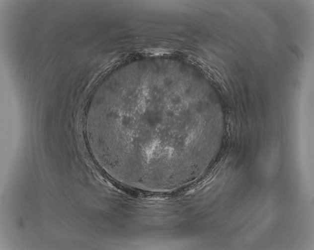 X0000112881393200909041632