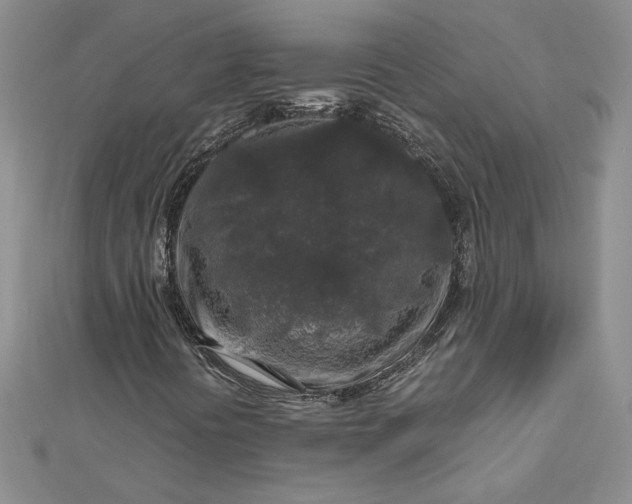 X0000112881394200909041632