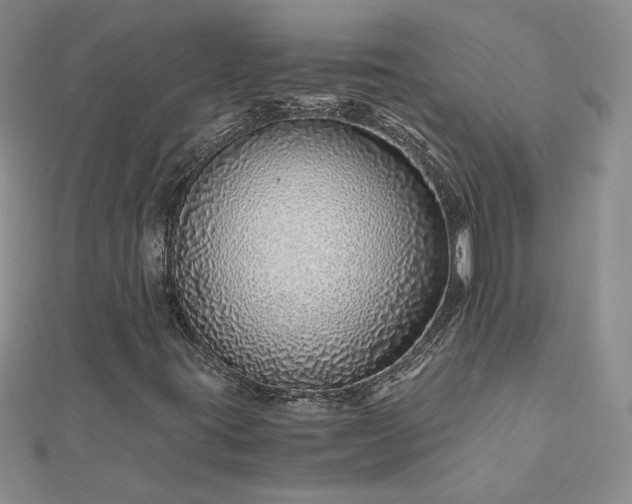 X0000112881395200909041632