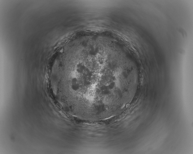 X0000112881397200909041632