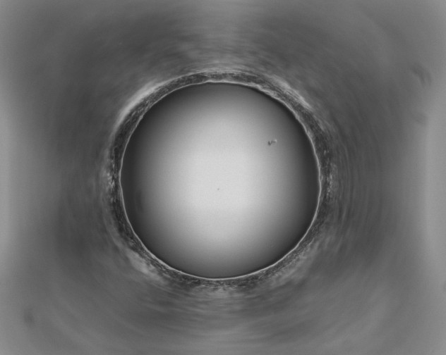 X0000112881400200909041632