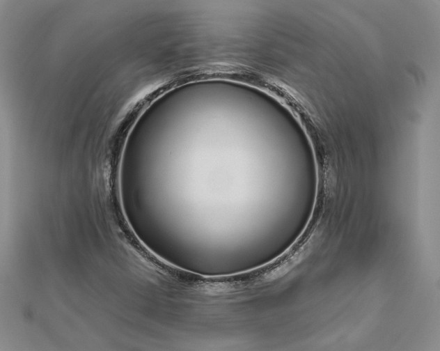 X0000112881402200909041632