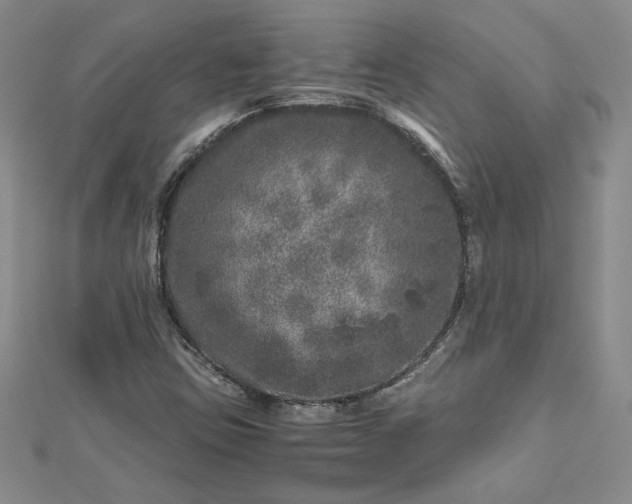 X0000112881403200909041632