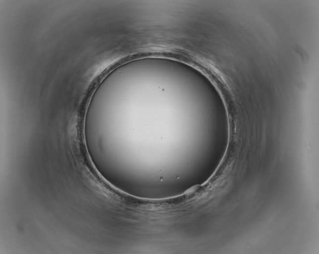 X0000112881404200909041632