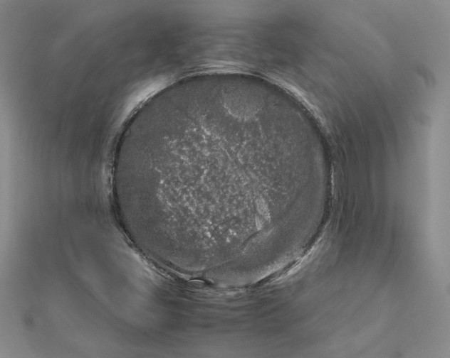 X0000112881405200909041632