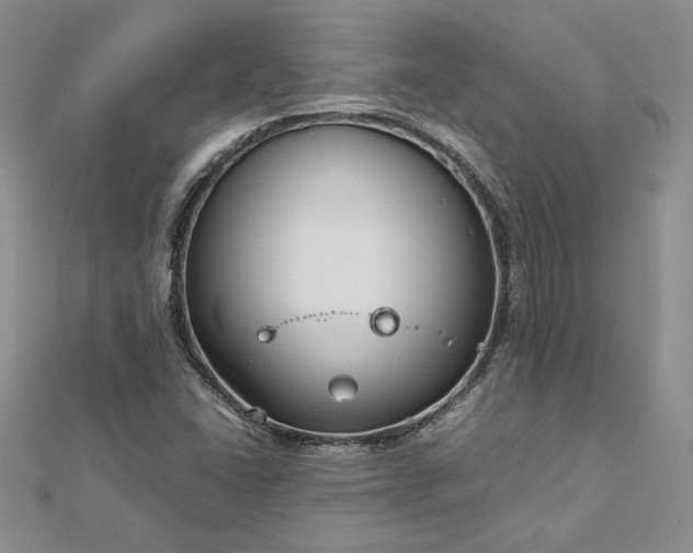 X0000112881406200909041632