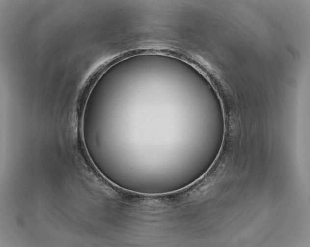 X0000112881408200909041632