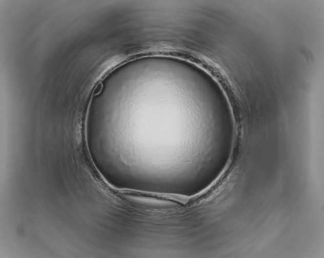 X0000112881409200909041632