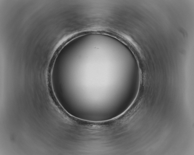 X0000112881412200909041632