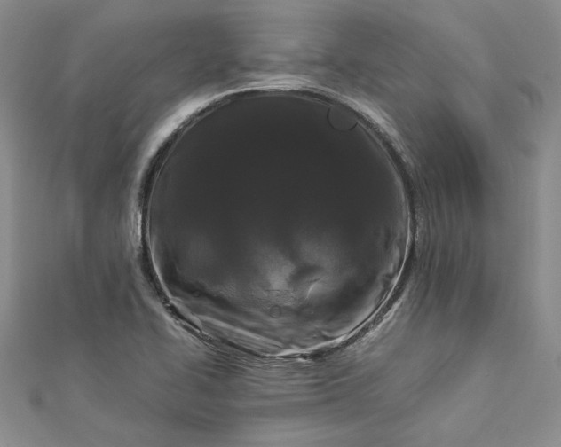 X0000112881414200909041632