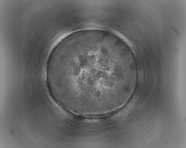 X0000112881415200909041632