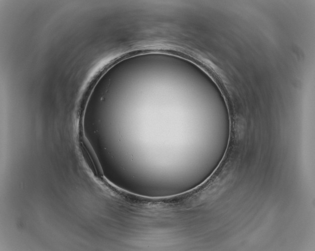 X0000112881416200909041632