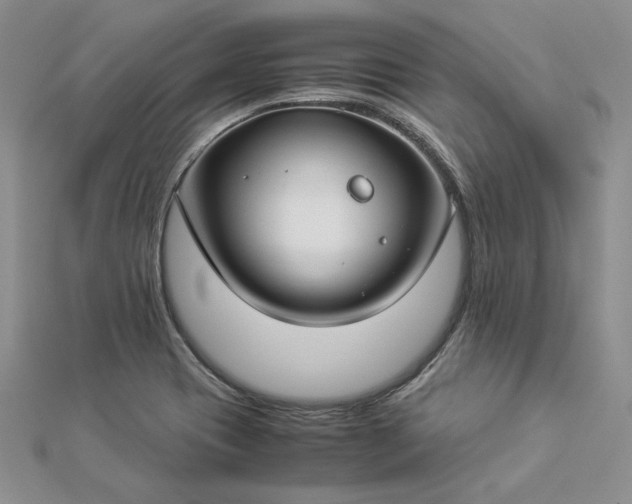 X0000112881417200909041632