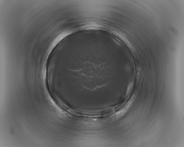 X0000112881418200909041632