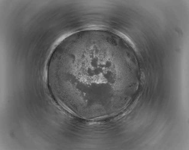 X0000112881419200909041632