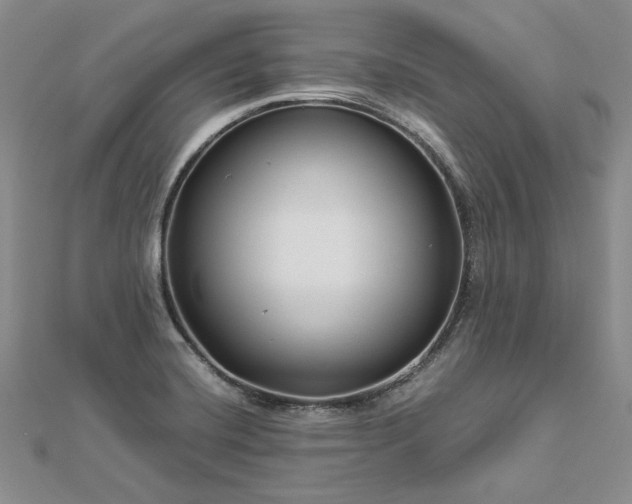 X0000112881420200909041632