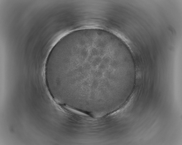 X0000112881423200909041632