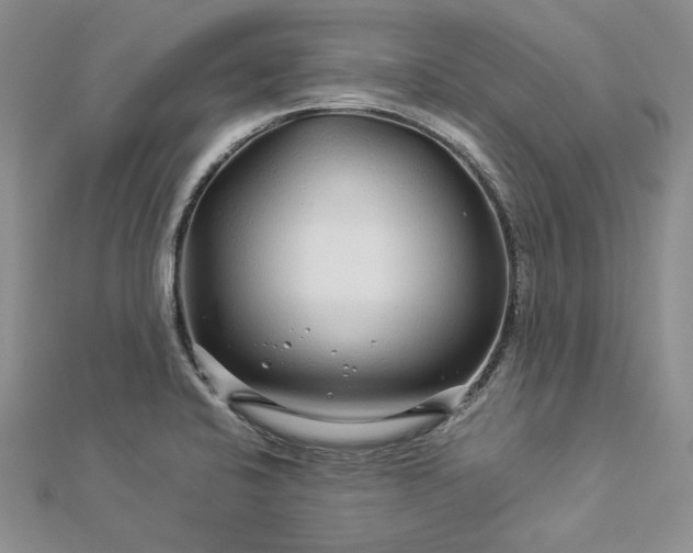 X0000112881424200909041632