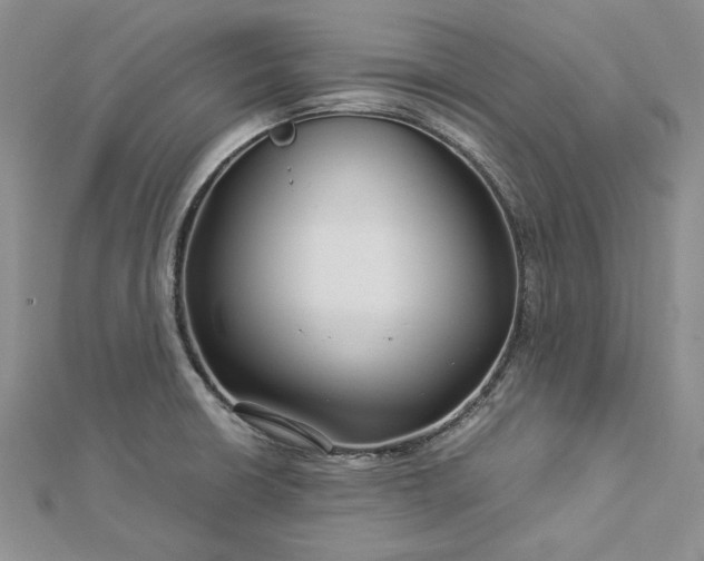 X0000112881426200909041632