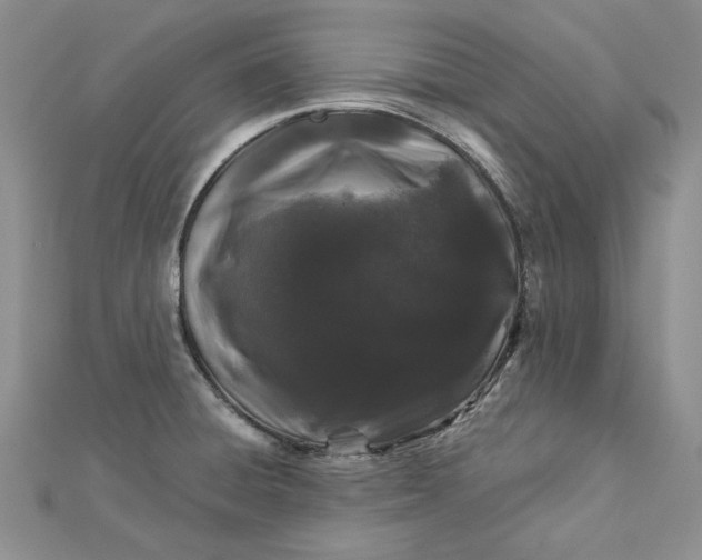 X0000112881428200909041632