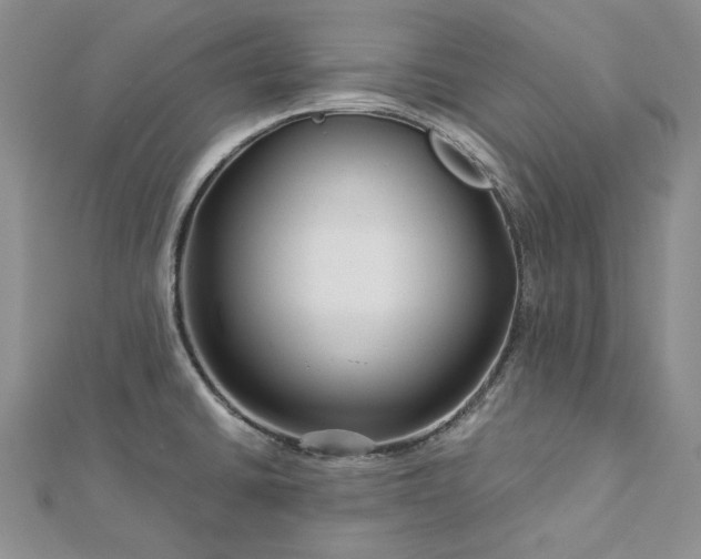 X0000112881430200909041632