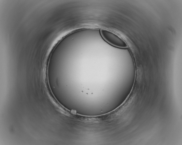 X0000112881432200909041632