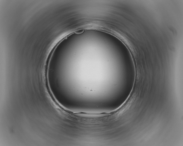 X0000112881434200909041632