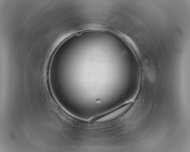 X0000112881435200909041632