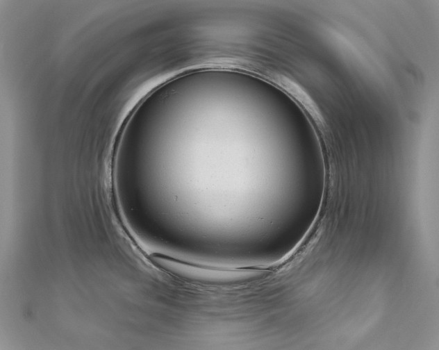 X0000112881436200909041632