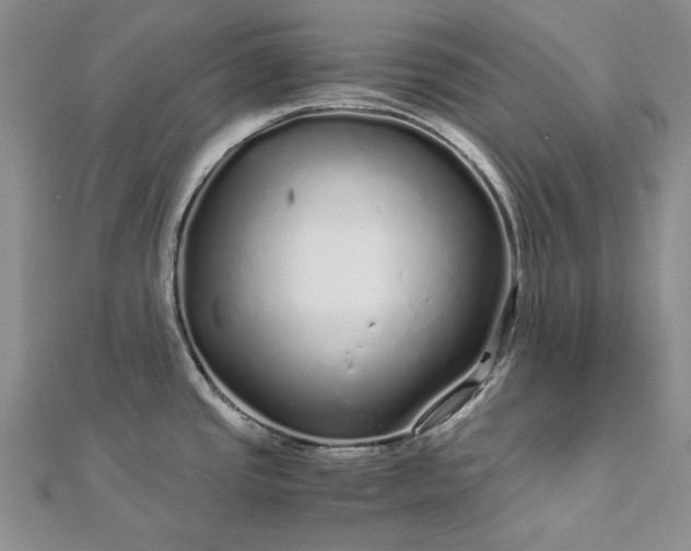 X0000112881437200909041632