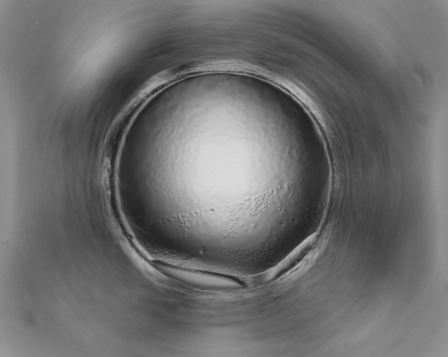 X0000112881438200909041632