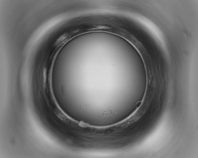 X0000112881439200909041632